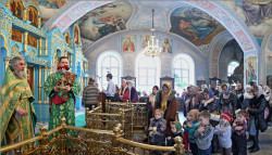 tolmargarita 
Праздничная Литургия 
2016-03-04 07:31:20