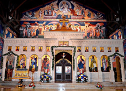 Andreas.Ch 
Resurrection of Christ Cathedral in Vienna 
2016-03-05 12:45:45