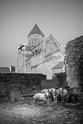 alik 
Svetitskhoveli Cathedral 
2016-03-09 13:51:48