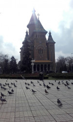 joanikije 
Храм Три Јерарха  у Темишвару 
2016-03-09 22:38:35