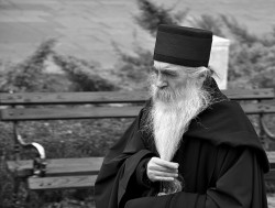 AleksaSrbin 
Владика 
48 
2016-03-14 10:32:39