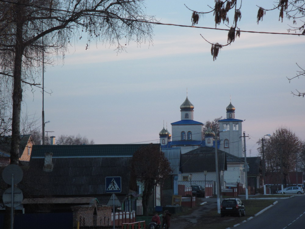 Спаса-Праабраженская царква ў Ветке