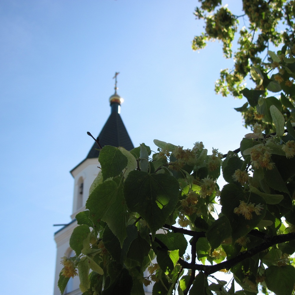 Баркалабаўскі манастыр