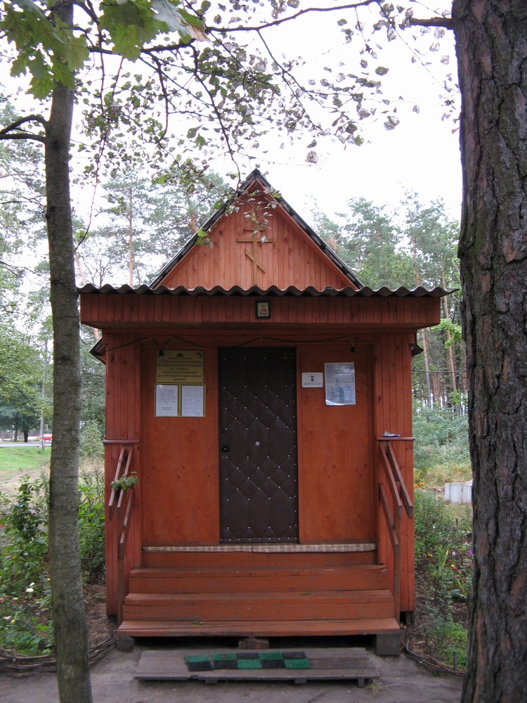 Царква вмч. Панцялеймана ў Медгарадку. Гомель. 2008 г.