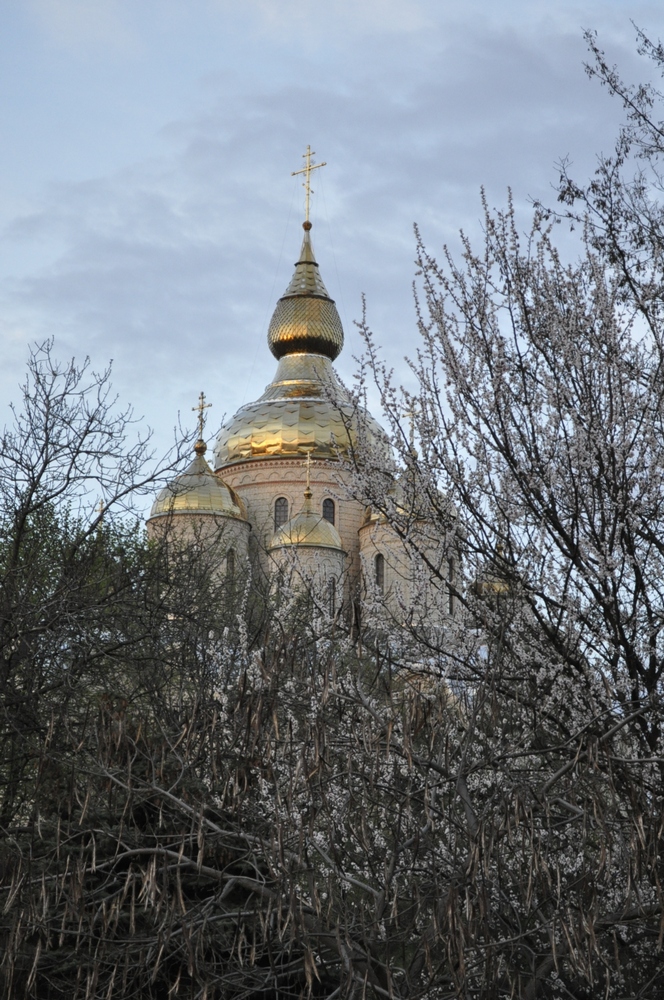 Весна в соборном парке