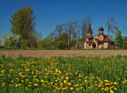 Adam Falkowski 
 
2016-04-10 12:40:30