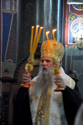 AleksaSrbin 
Владика 
2016-04-24 10:31:25