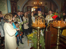 szolucha.w 
Niedziela palmowa (2) 
2016-04-24 15:16:00