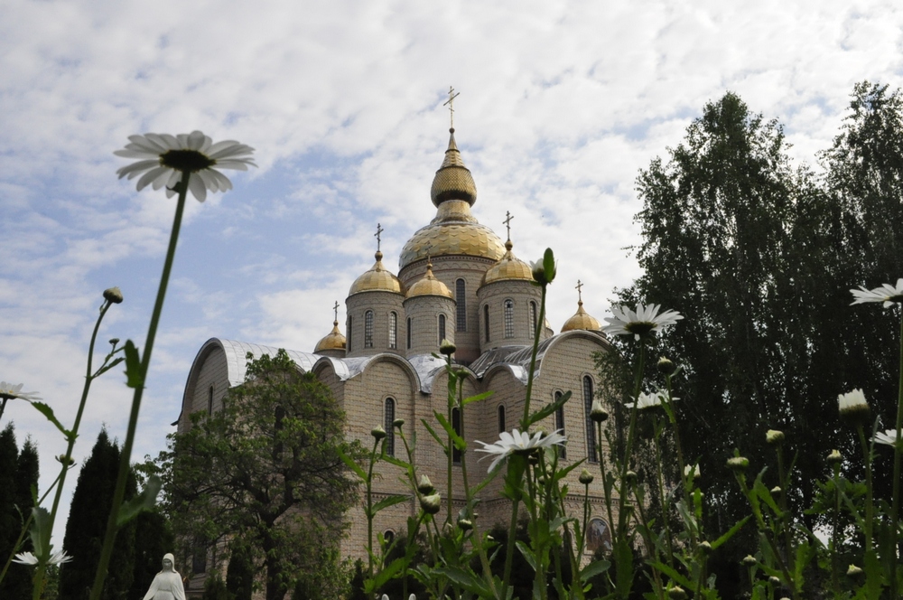 Ромашки и собор