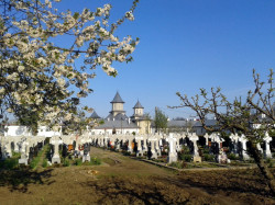 Mitrut Popoiu 
Holy Virgin&#039s monastery from Vladimirești 
51 
2016-05-15 20:22:20