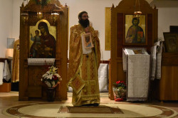 anamihai 
Divine Liturgy 
2016-05-15 23:12:43