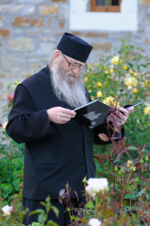 ioanalexro 
Monk reading 
54 
2016-05-19 23:29:31