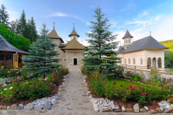 ioanalexro 
Sihăstria Putnei 
54 
2016-05-19 23:39:05