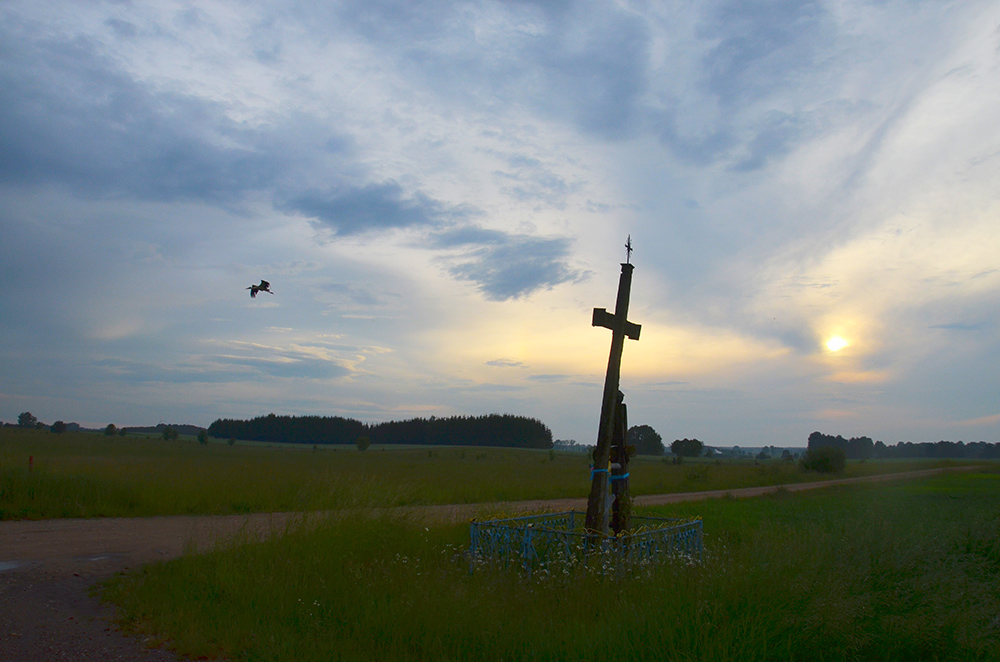 KOtły.