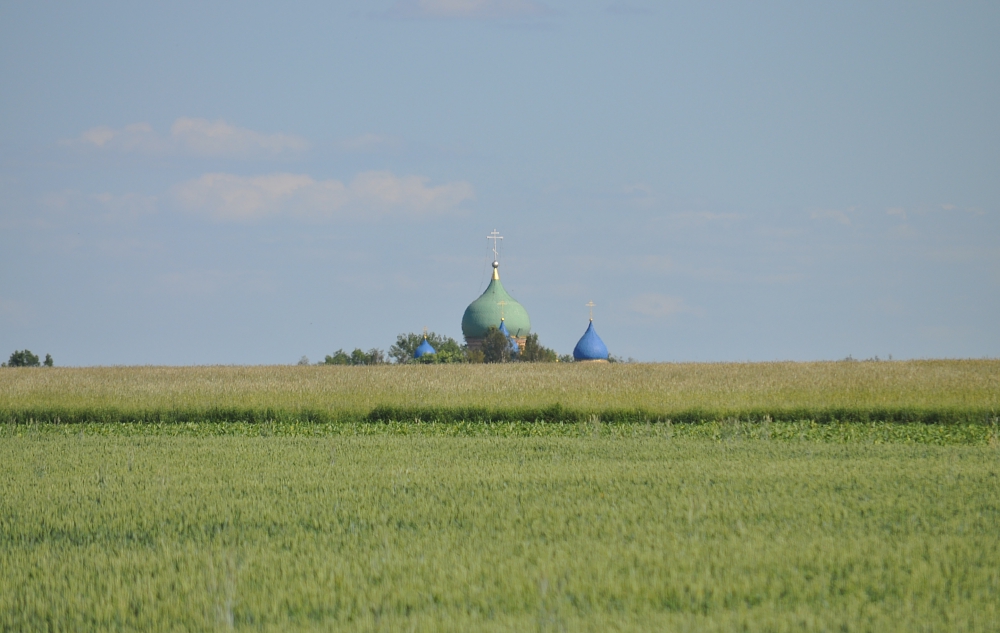Czyże