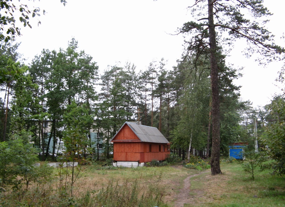 Прыход царквы вмч. Панцялеймана ў Медгарадку ў 2008 г.