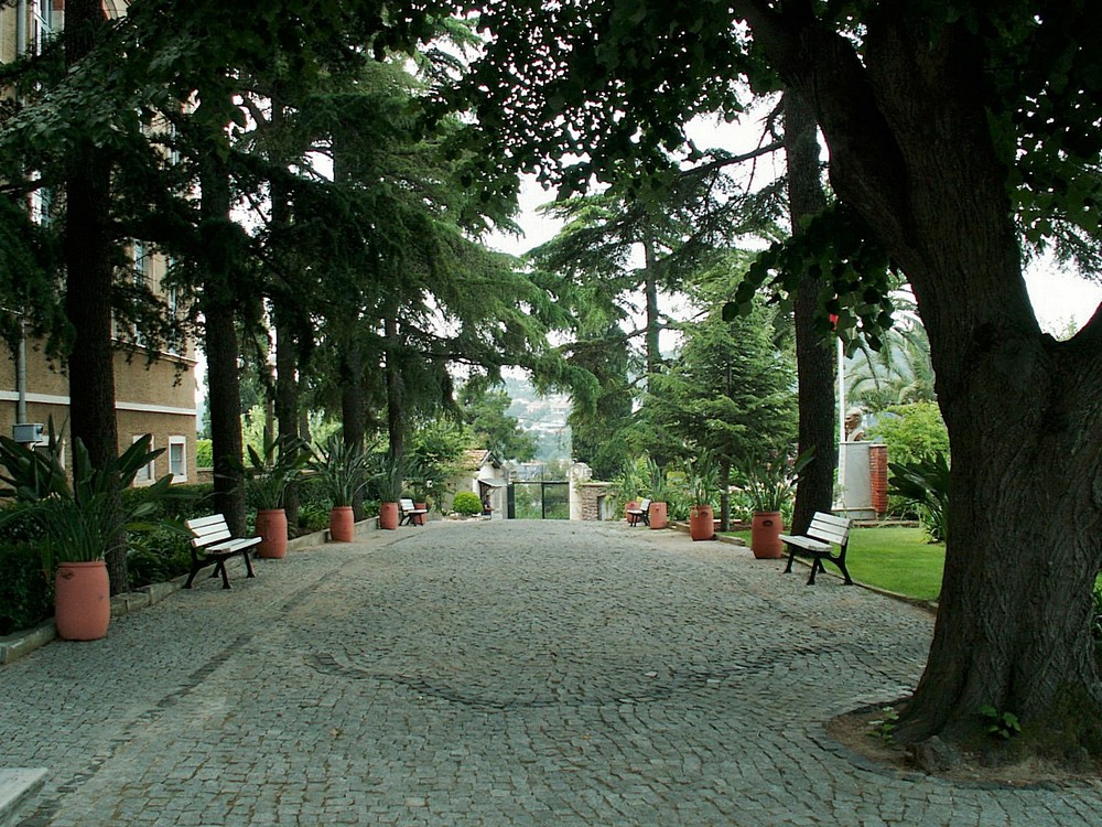 Halki (Heybeliada) Theological Seminary (Agia Triada Monastery)3