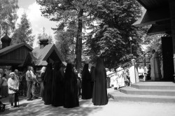 magdanazaruk 
Jasność w czerni 
2016-06-04 00:07:04