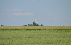 bogdan 
Czyże 
2016-06-13 08:42:50