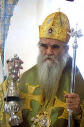 jarek1 
Amphilohie, metropolitan of Montenegro 
2016-06-15 23:04:46