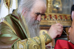 jarek 
Amphilohie, metropolitan. of Montenegro 
2016-06-17 23:10:06