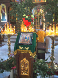 szolucha.w 
Święto Zesłania Ducha Świętego 
2016-06-19 18:36:40