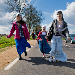 palavos 
pilgrims 
2016-06-20 12:54:40