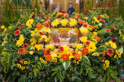 Catalog 
For the Feast of Pentecost:  
2016-06-27 08:27:40