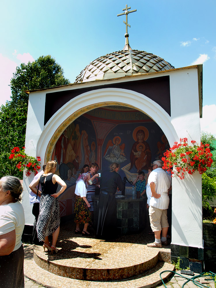 Krynoczka
