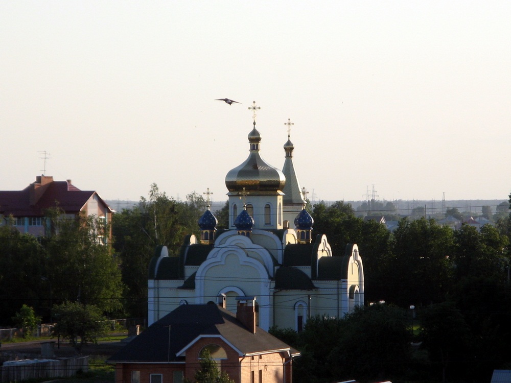 Царква і птушка.