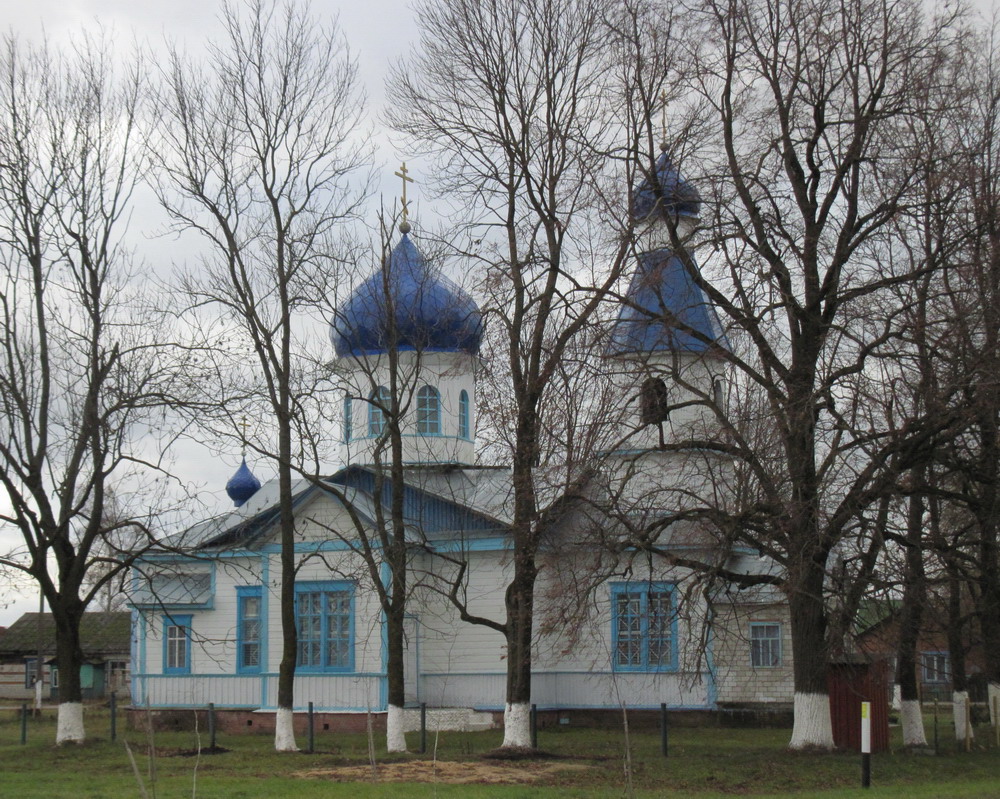 Царква іконы Божай Маці "Усіх тужлівых Радасць" у Цярэнічах.