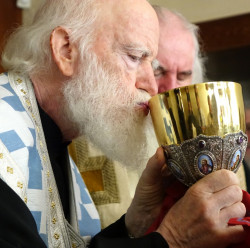 jarek1 
Archbishop Ireneos of Crete 
2016-07-01 15:06:21