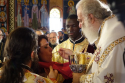 jarek 
Divine Liturgy in Annunciation Catherdal in Kissamos 
2016-07-11 18:21:18
