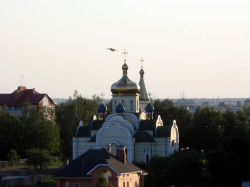 from homel 
Царква і птушка. 
2016-07-12 14:46:36