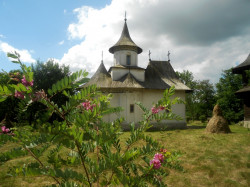 joanikije 
Храм у Патрути 
2016-07-30 14:41:39