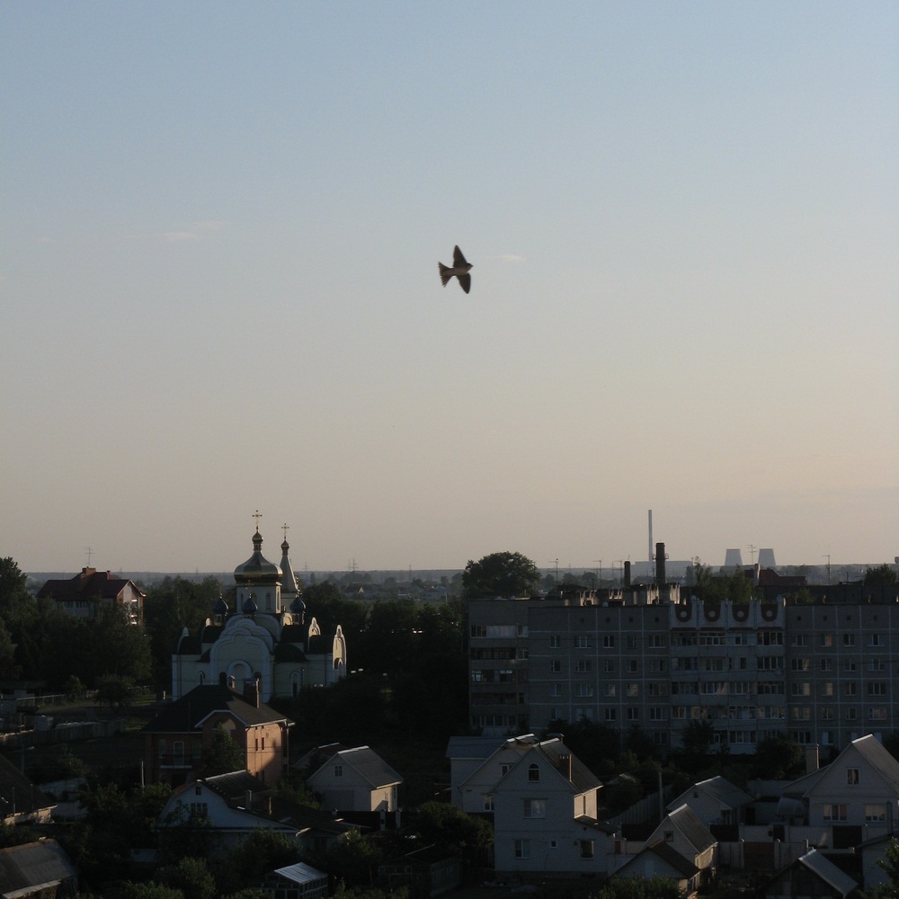 Брылёў.