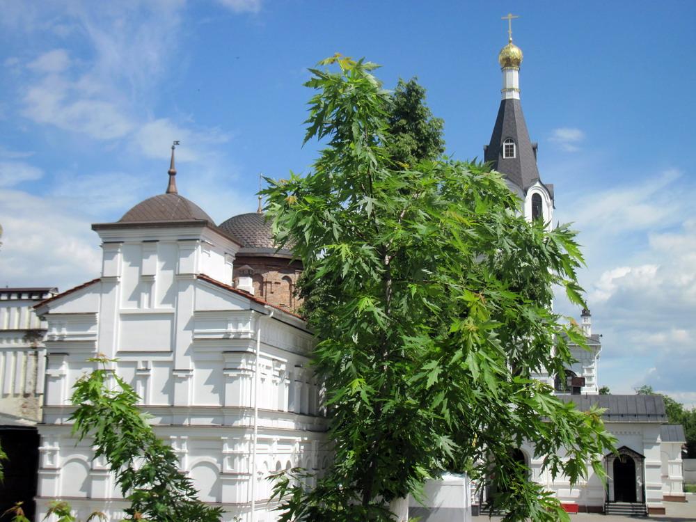 Свята-Мікольскі манастыр у Гомелі.