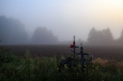 MichalD 
Early morning at Podlasie 
33 
2016-08-02 09:30:43