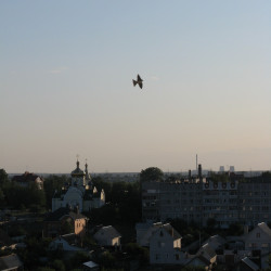 from homel 
Брылёў. 
2016-08-10 15:25:22