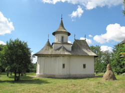 maksim 
Храм у Патрути 
2016-08-20 11:20:04