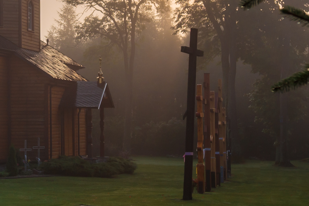 The Crosses