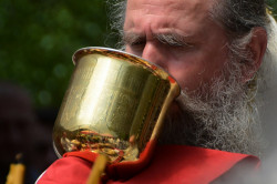 sapuric 
PRIČEST 
2016-10-12 09:38:49