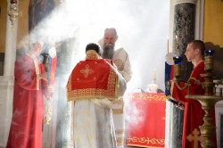 sapuric 
DAROVI 
2016-10-14 19:24:47