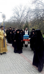 joanikije 
Дочек моштију Свете мати Ангелине у манастиру Месић 
2016-10-30 00:59:45
