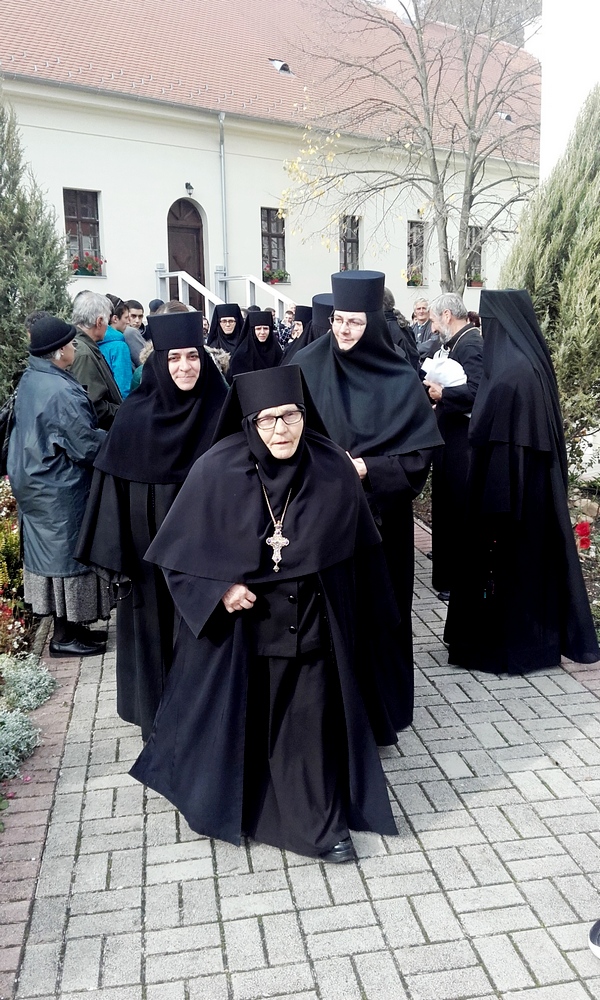 Игуманија Манастира Месић Параскева  (Митрић)
