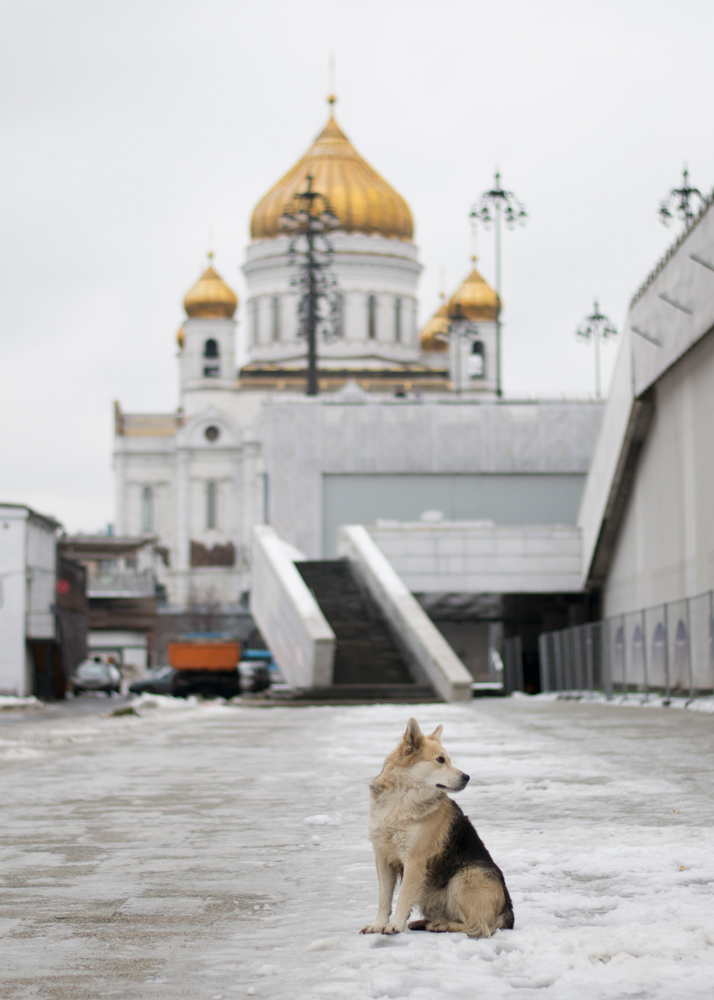 Moscow