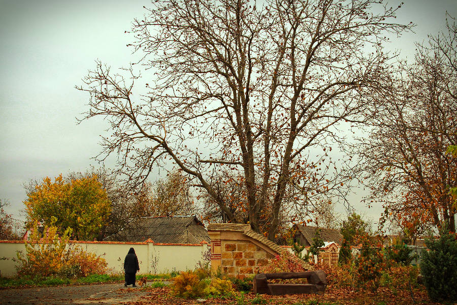 Last autumn days