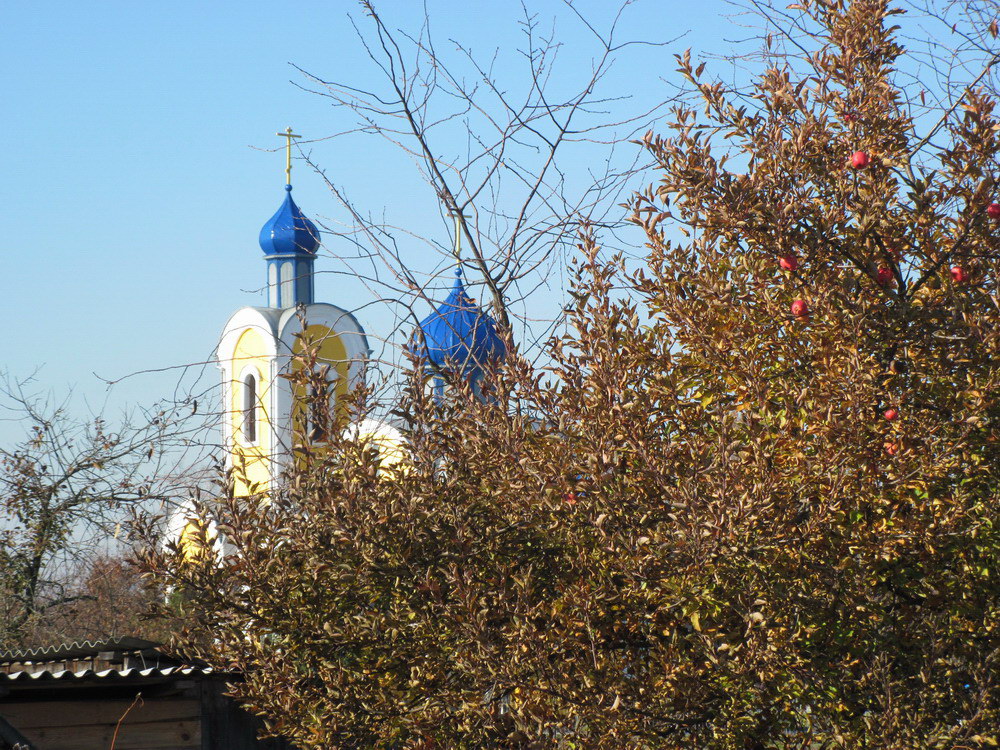 Свята-Мікольская царква ў Буда-Кашалёве.