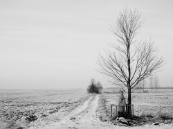 Adam Falkowski 
 
2016-11-08 13:42:29