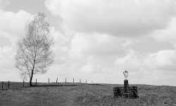 Adam Falkowski 
 
2016-11-08 13:44:52